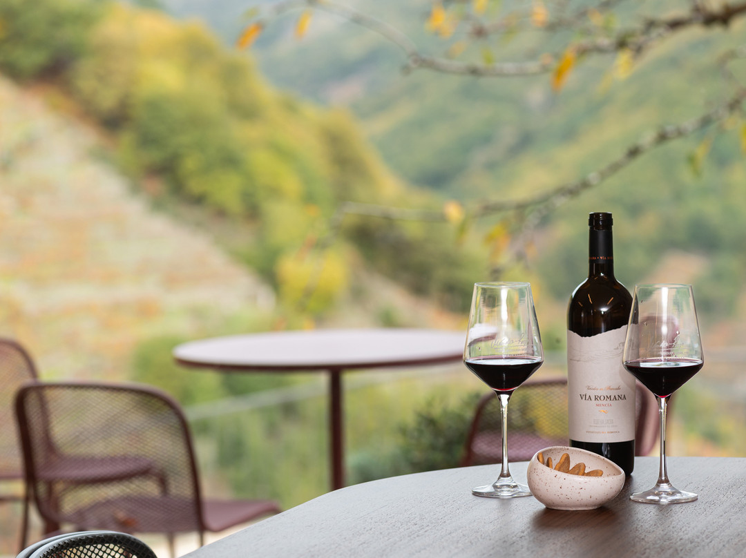 Via Romana Adegas e Vinedos-Chantada必去景点