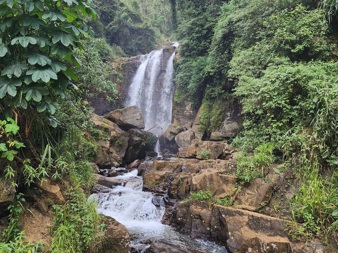 TS ruban travel router-Nanu Oya必去景点