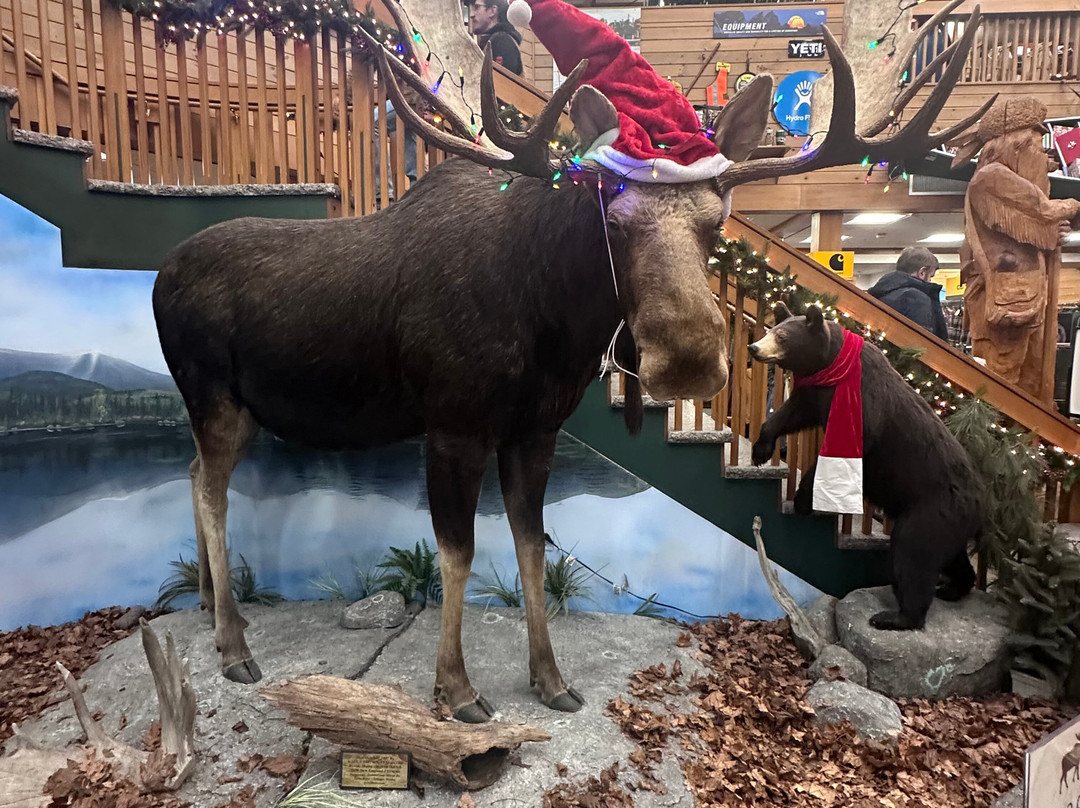 Kittery Trading Post-Kittery必去景点