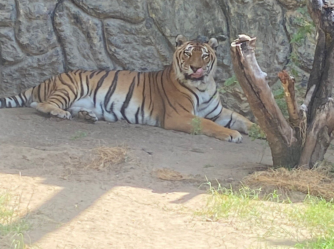 Ecopark Sol e Mar-Maragogi必去景点