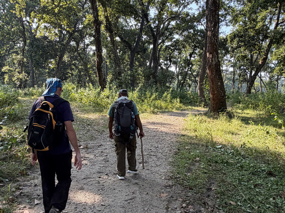 Chitwan Jungle Safari-奇旺国家公国必去景点