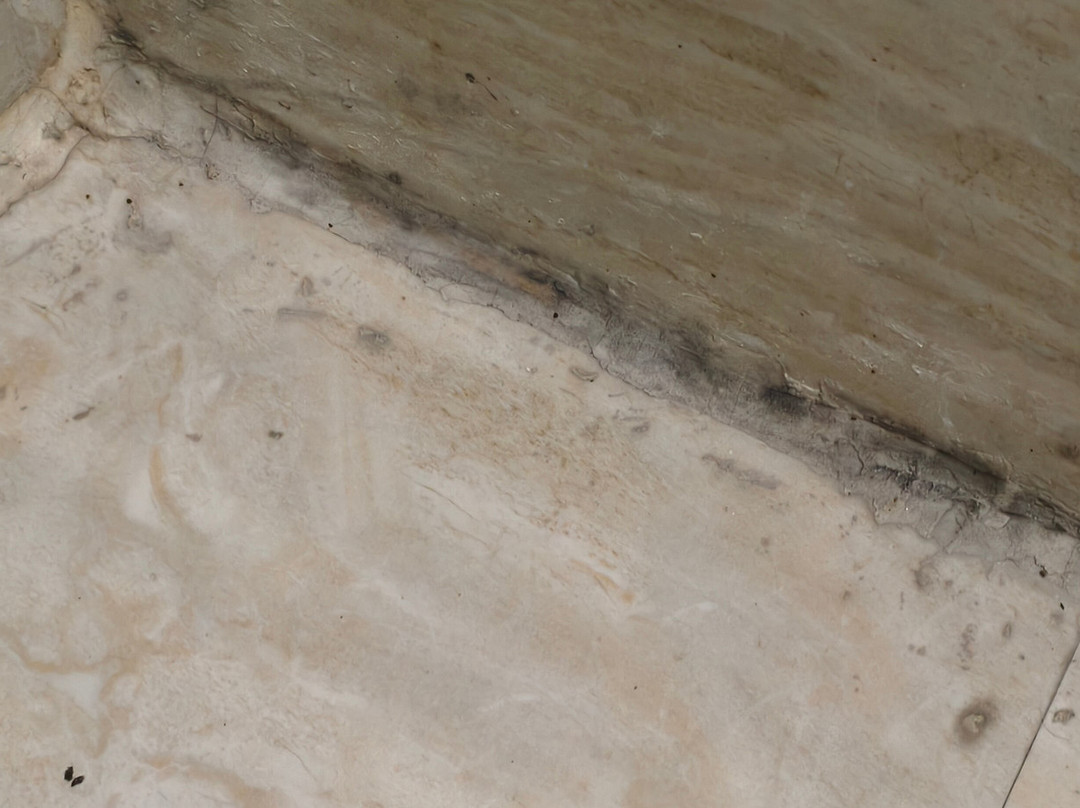 Hotel Rangoli Pearl主图