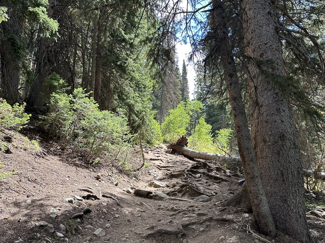 Red Pine Lake-帕克城必去景点