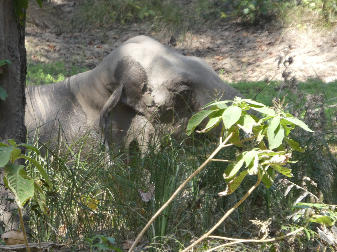Adventure Safari & Trek-Thakurdwara必去景点