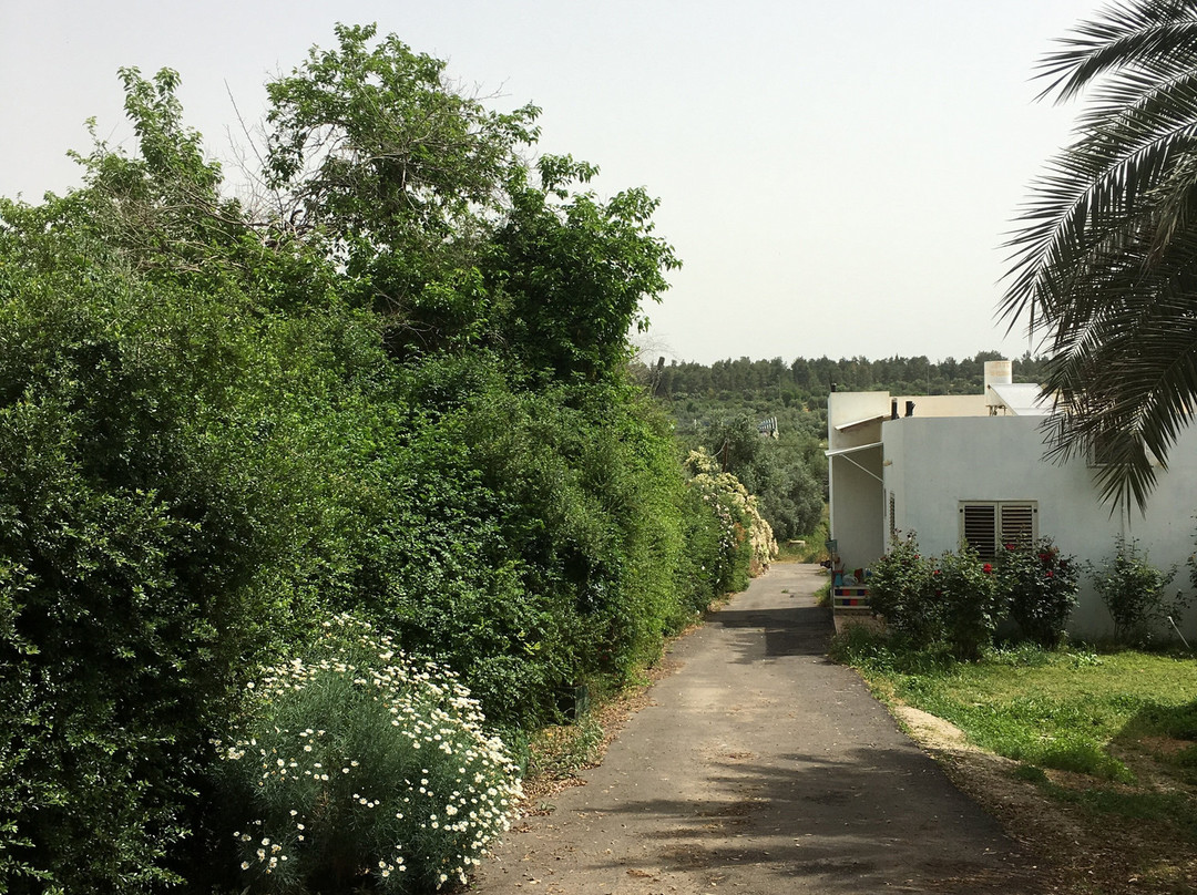 Bella Troun Guest House主图