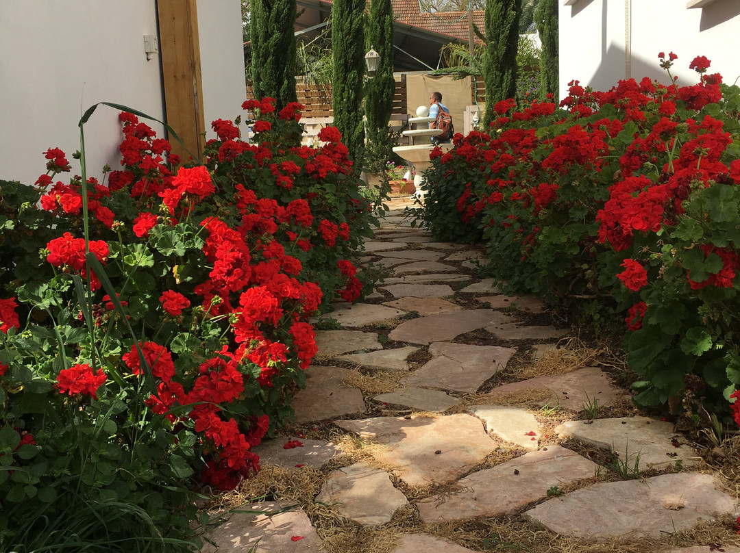 Bella Troun Guest House主图