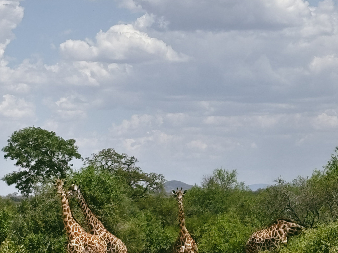 Sam safari & tours-Iringa必去景点
