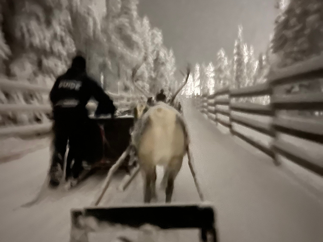 Salla Wilderness Park-Salla必去景点