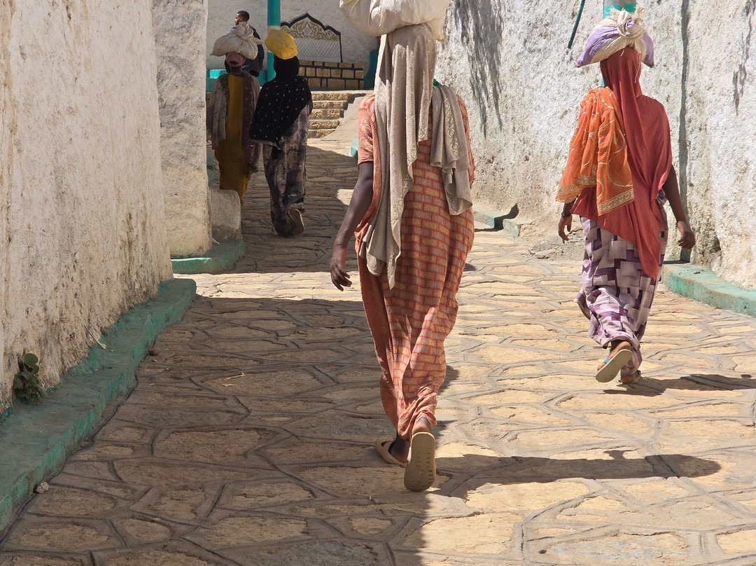 Emaj Harar Tours-哈勒尔必去景点