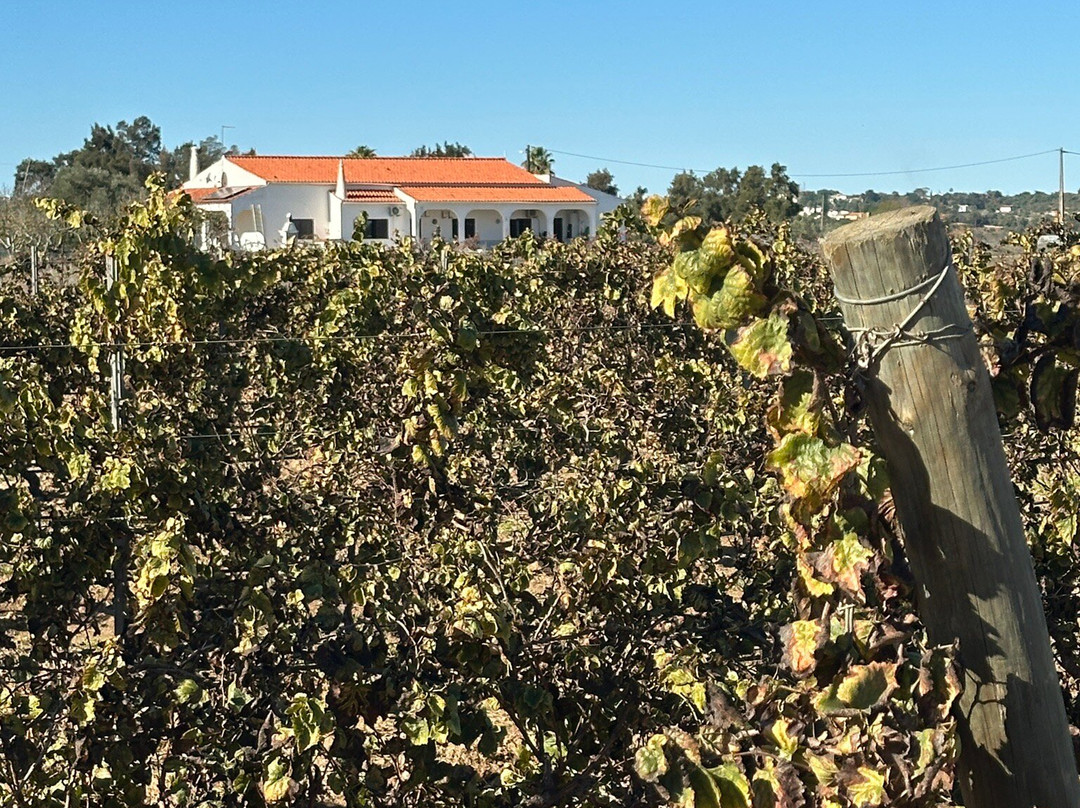 Cabrita Wines-Silves必去景点