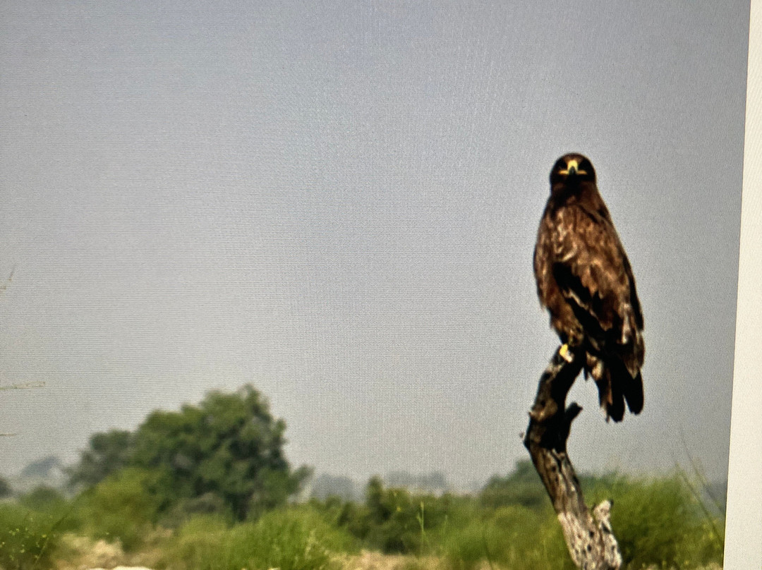 Jorbeer Conservation Reserve-碧卡内必去景点