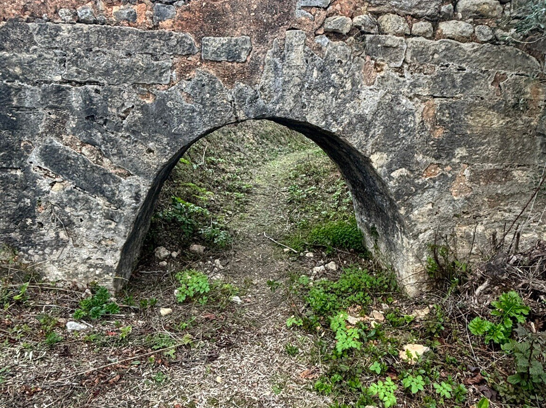 Mata Nacional dos Sete Montes-Tomar必去景点
