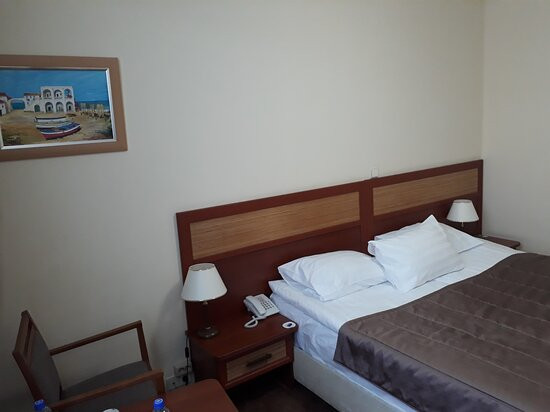 伊兹麦洛娃三角洲酒店主图