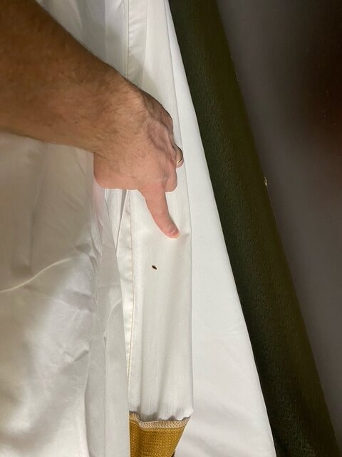 Best Western Plus Rama Inn主图