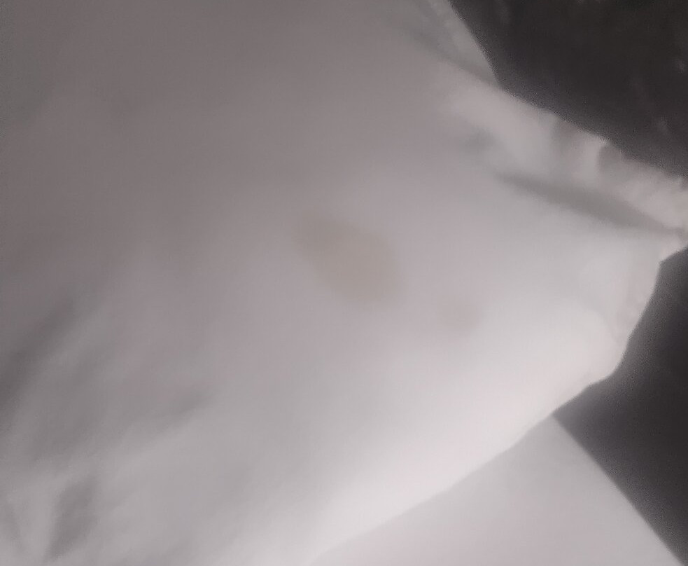 Super 8 by Wyndham Enid主图