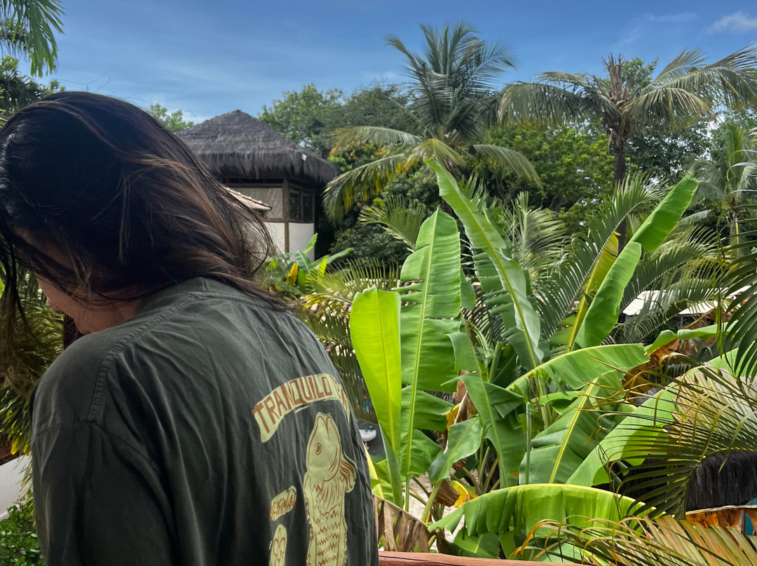 Viking Inn Privilege主图