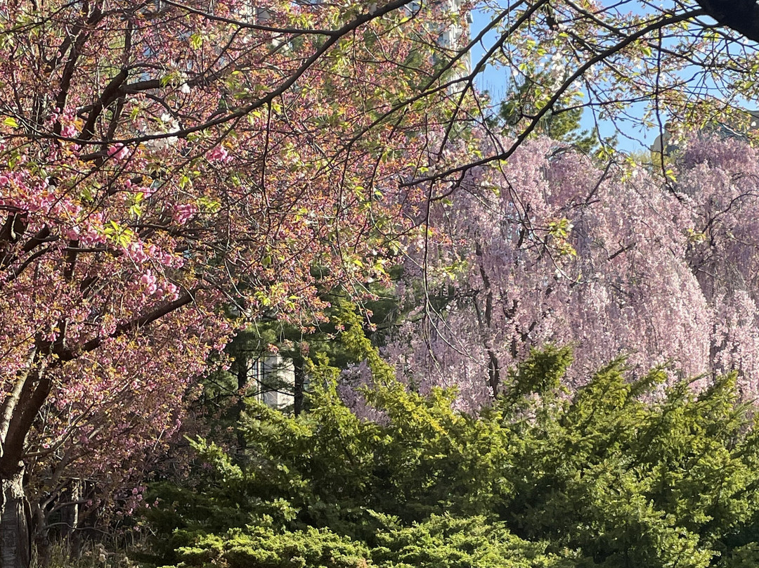 Kariya Park-米西索加必去景点