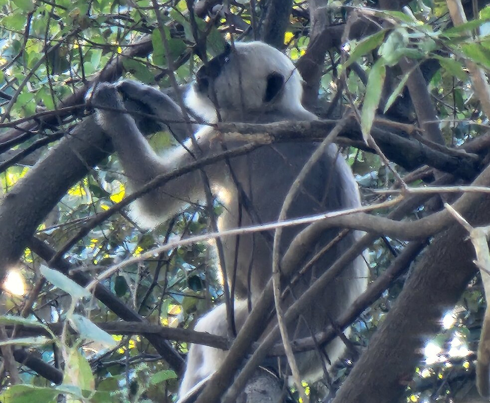707 Tours-新德里必去景点