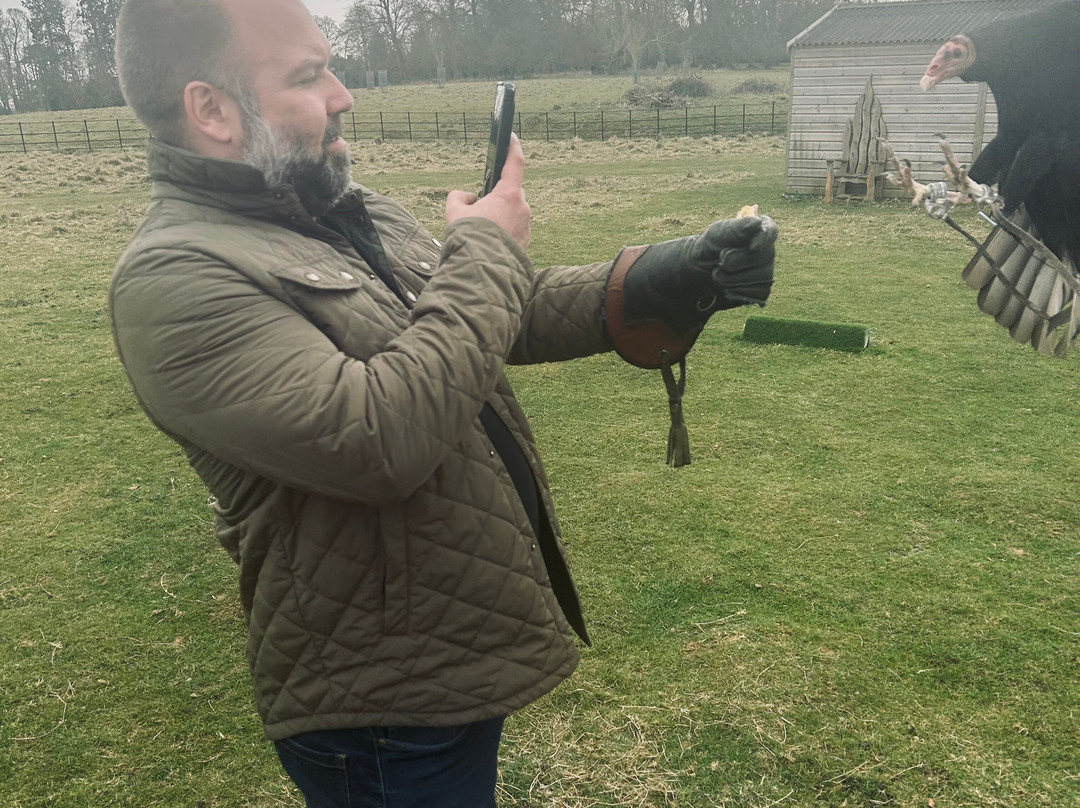 Joe's Bows-Faversham必去景点