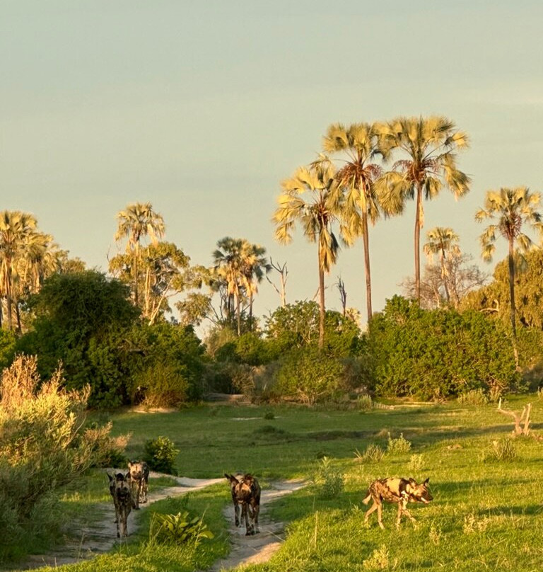 Embrace Safaris-马翁必去景点