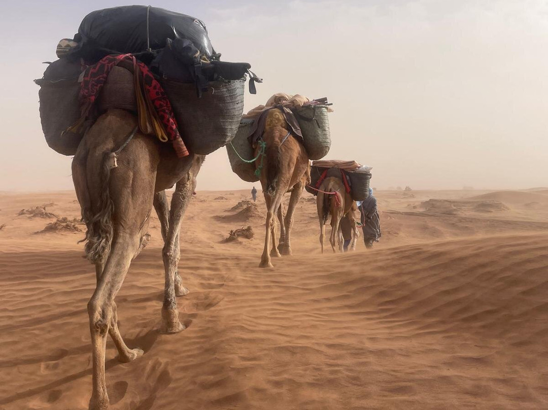 My Sahara Trek-迈哈米德必去景点