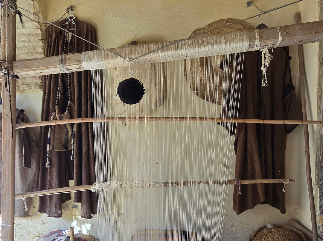 Sis Ben Aissa Archaeological  Museum-吐泽尔必去景点