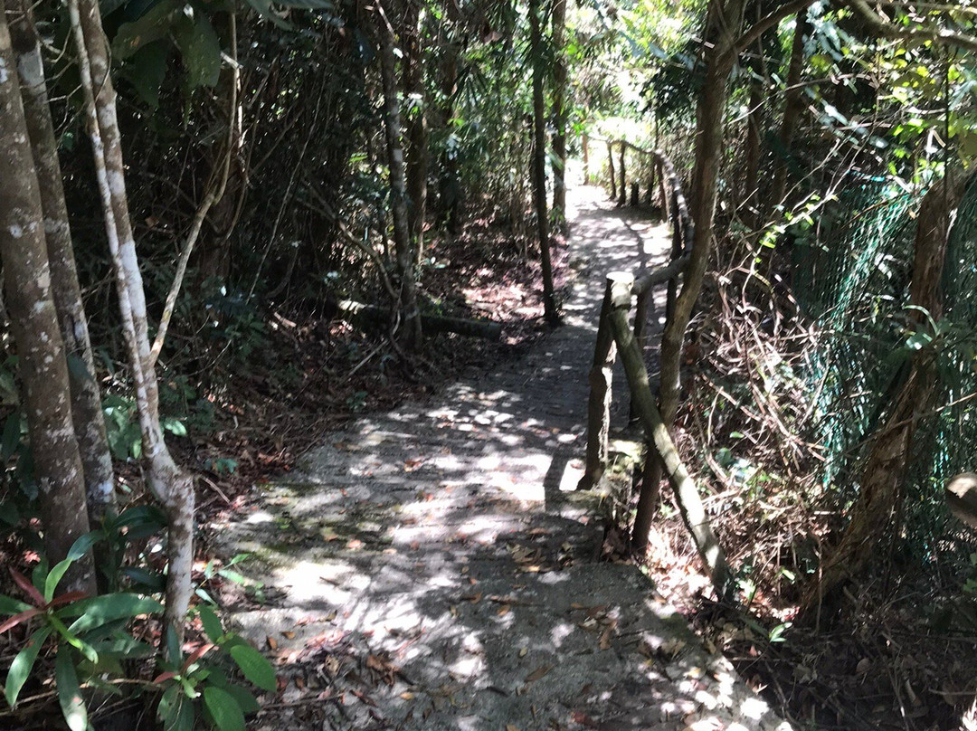 Gunung Jerai-Kuala Ketil必去景点