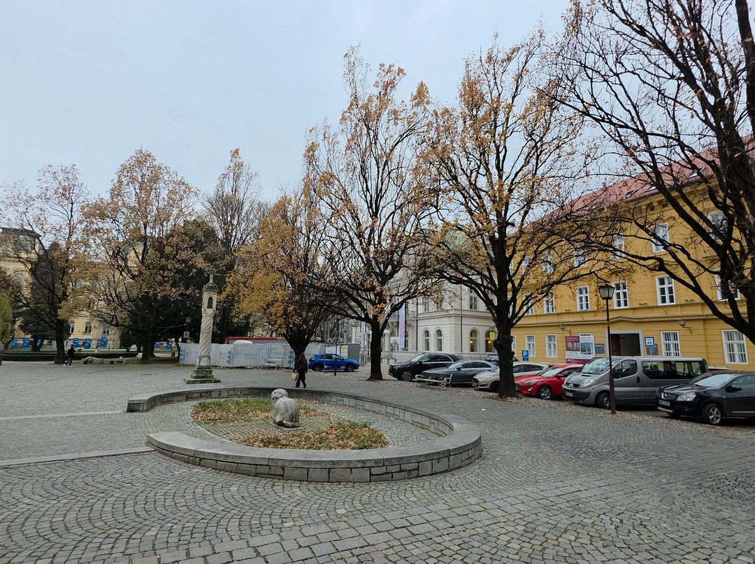 Maribor Cathedral (Church of St John the Baptist)-马里博尔必去景点