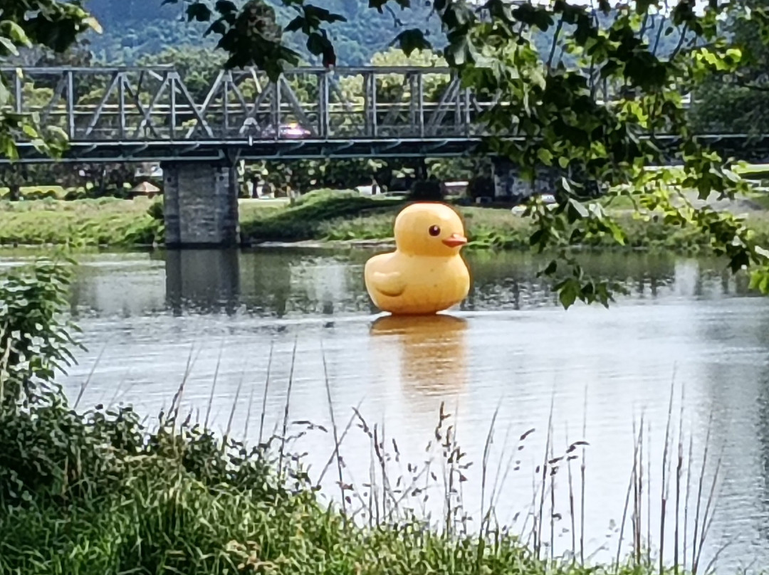 布拉梅尔之家青年旅舍主图