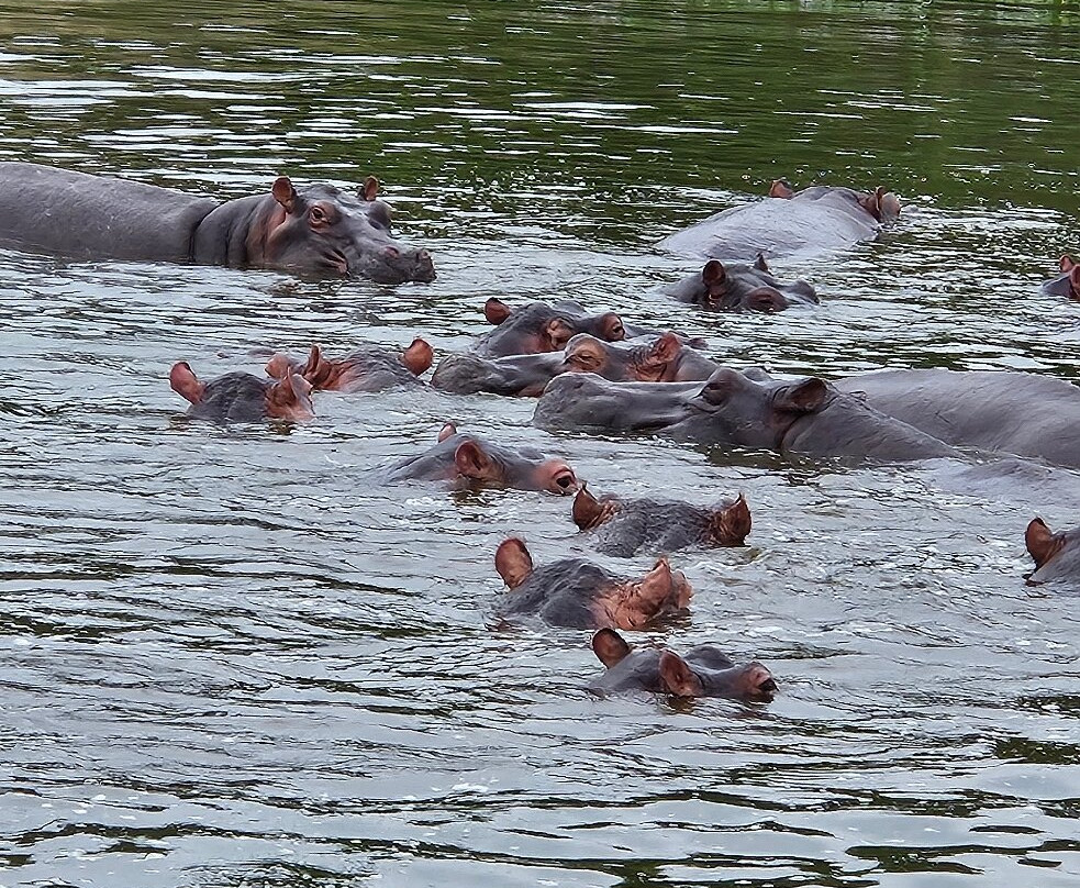 Grassrootz Adventures Uganda-坎帕拉必去景点