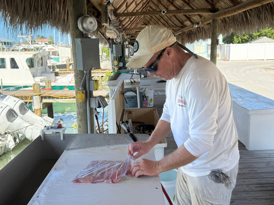 Catch 'Em All-马拉松必去景点