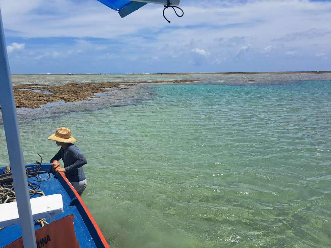 Piscinas Naturais-Sao Miguel dos Milagres必去景点