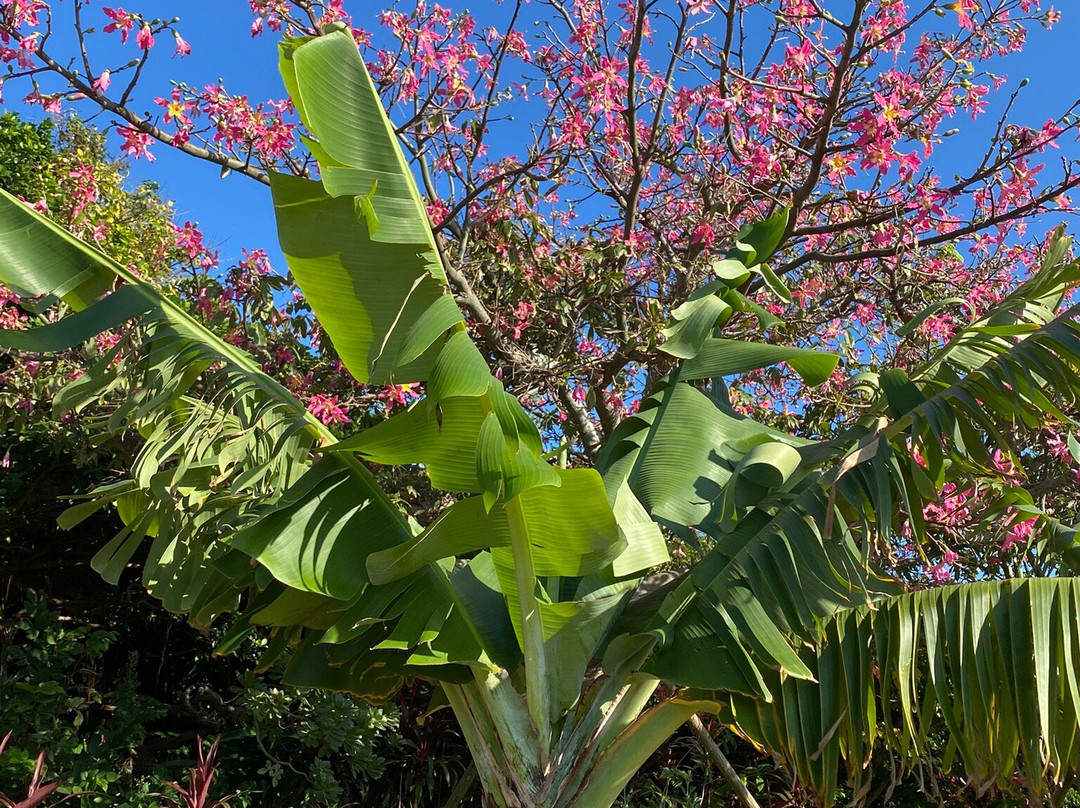 Kafu Banta-宇流麻市必去景点