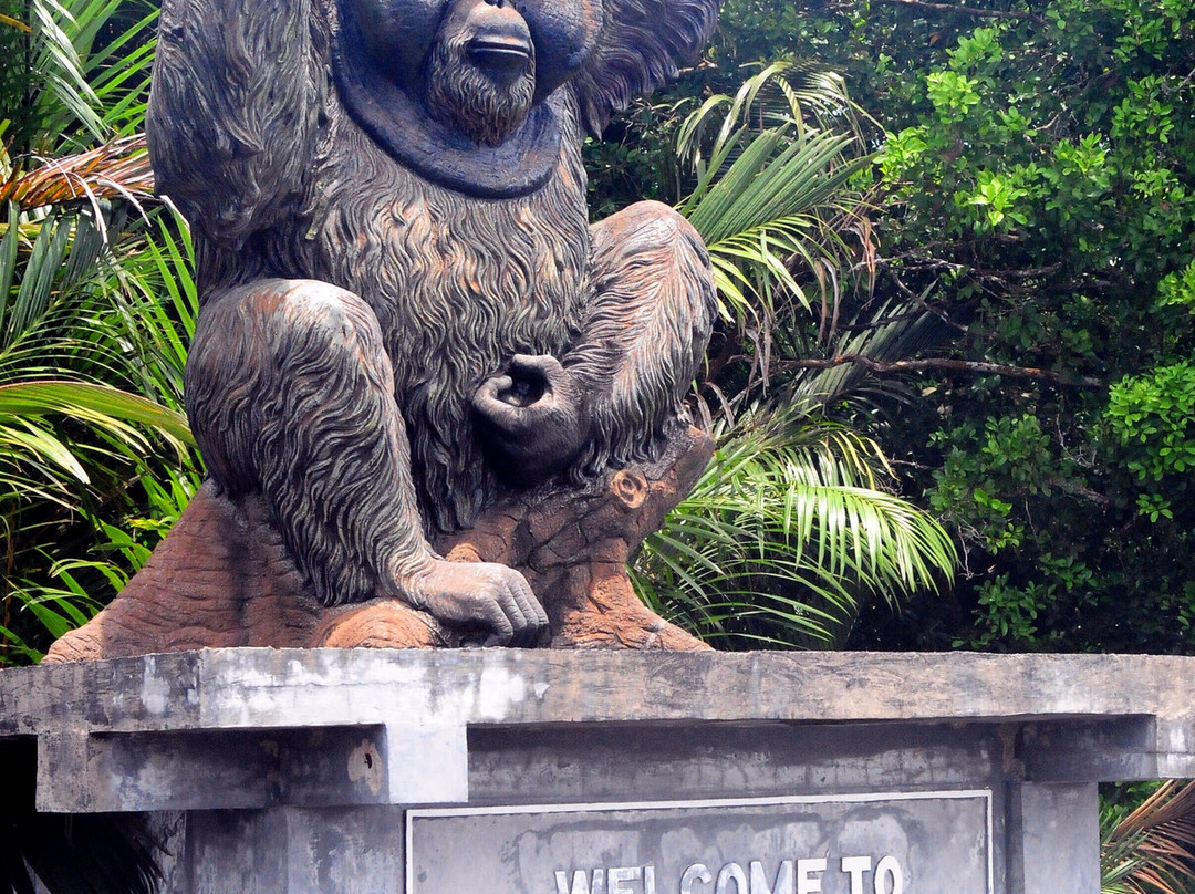 Local Guides - Tanjung Puting-Pangkalan Bun必去景点