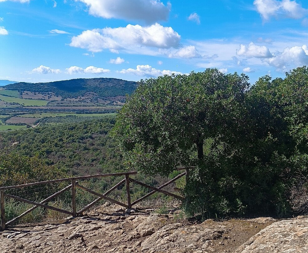 Necropoli di Montessu-Villaperuccio必去景点