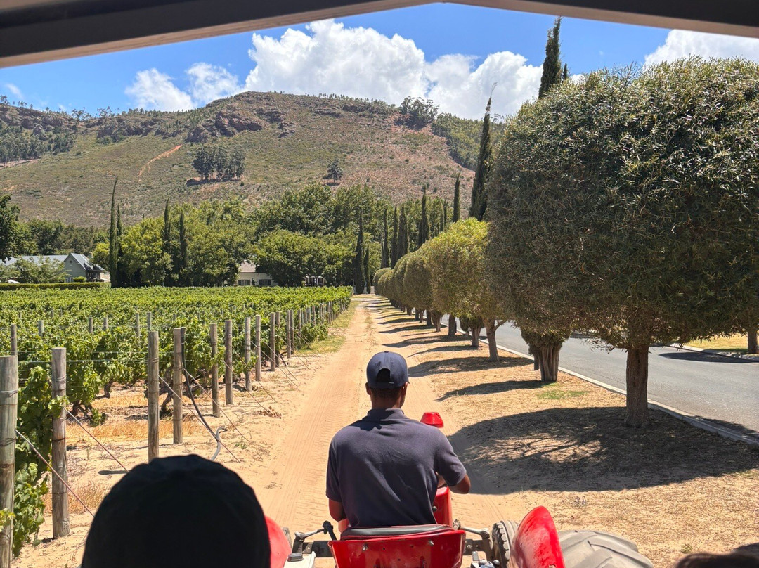 Franschhoek Wine Tram-法兰舒克必去景点