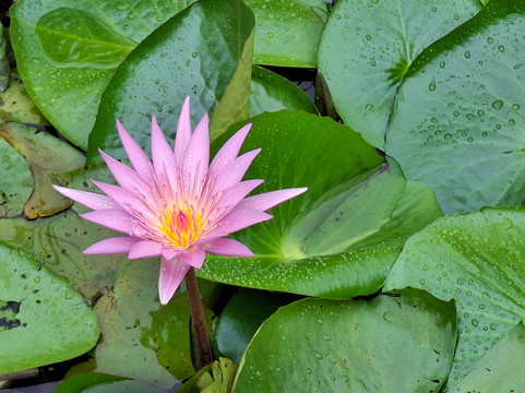 Speke Holidays-坎帕拉必去景点