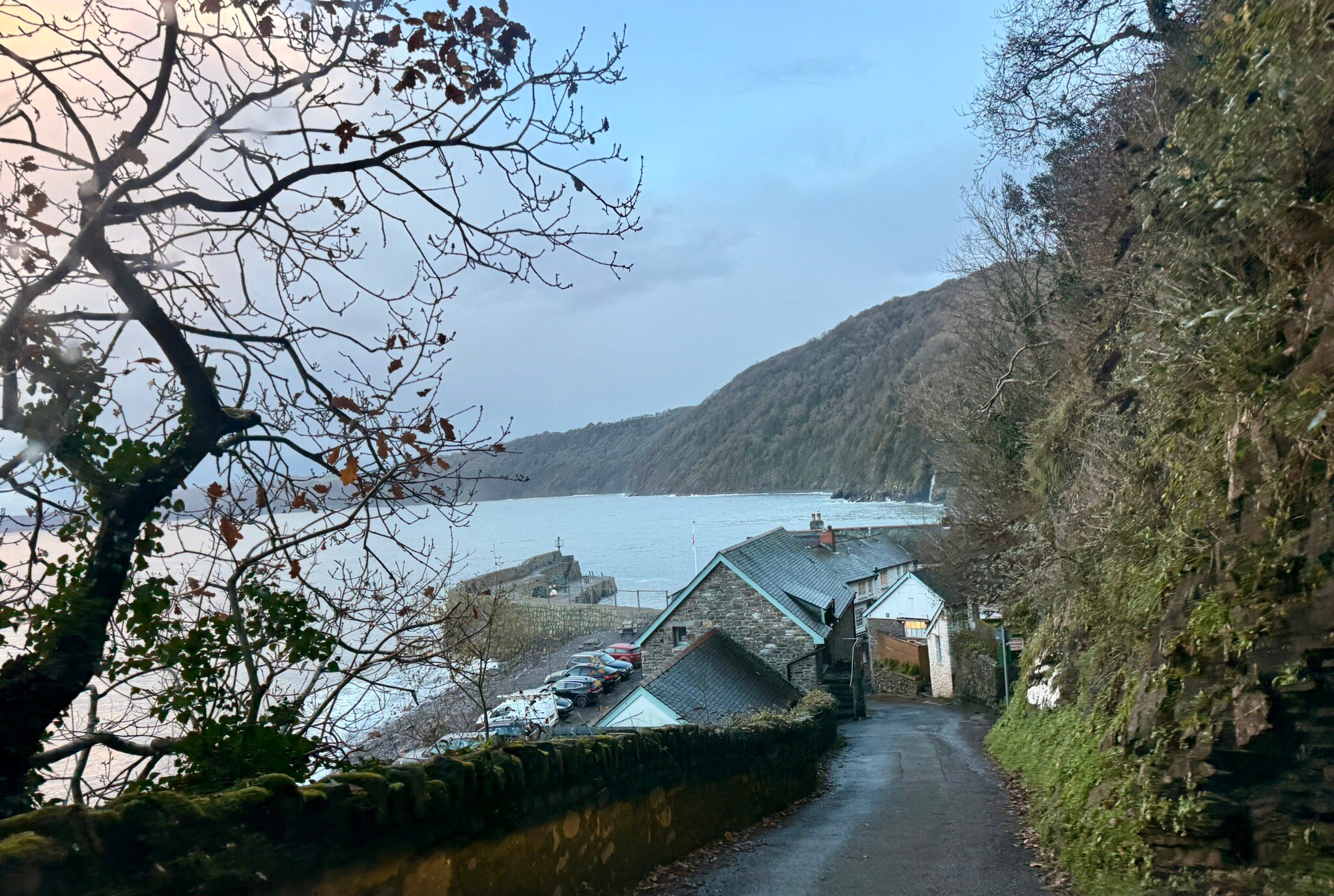 Red Lion Hotel-官方