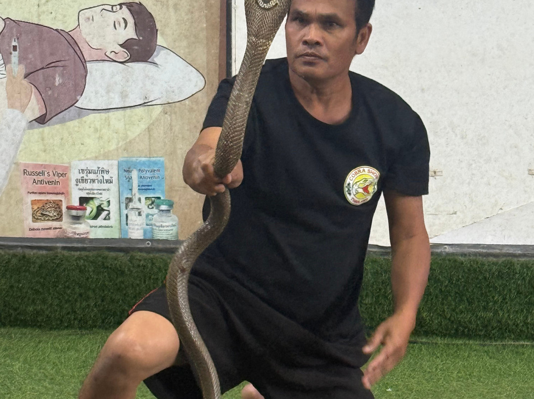 Cobra Show Thailand-苏梅岛必去景点