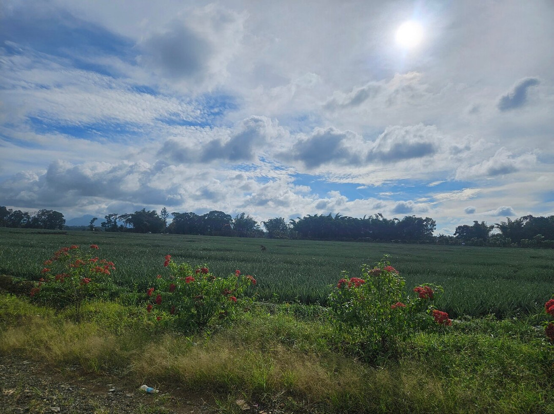 Aqua del Sol-Digos City必去景点