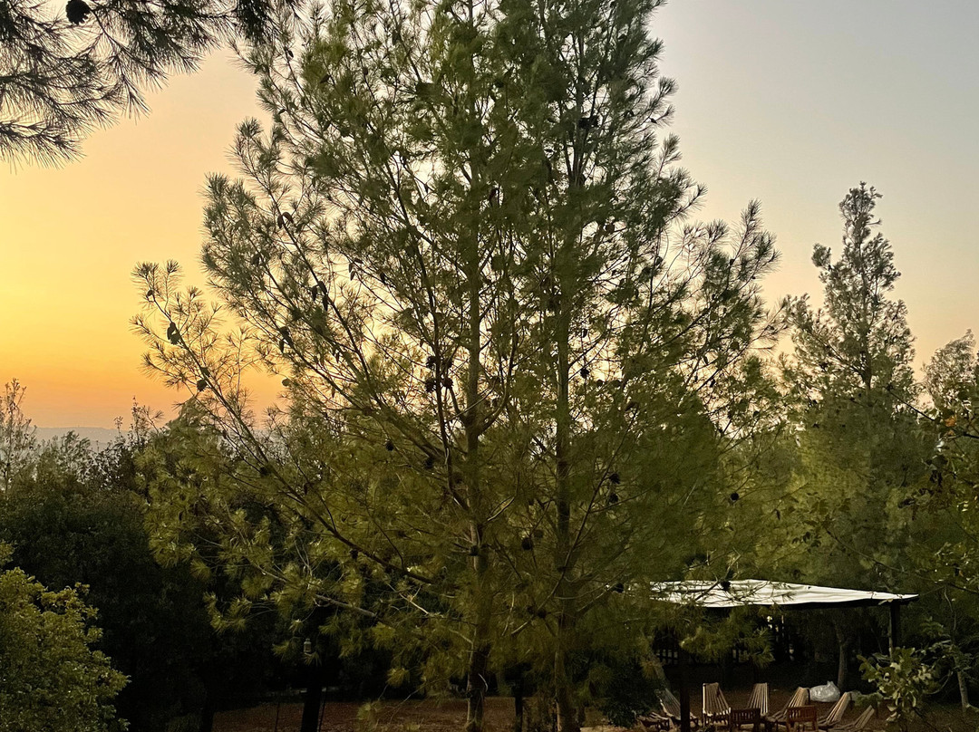 Mountain Breeze Lodge & Resort主图