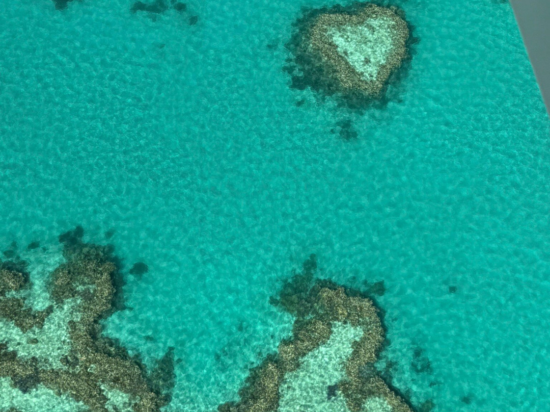 Fly Australia Charter-悉尼必去景点