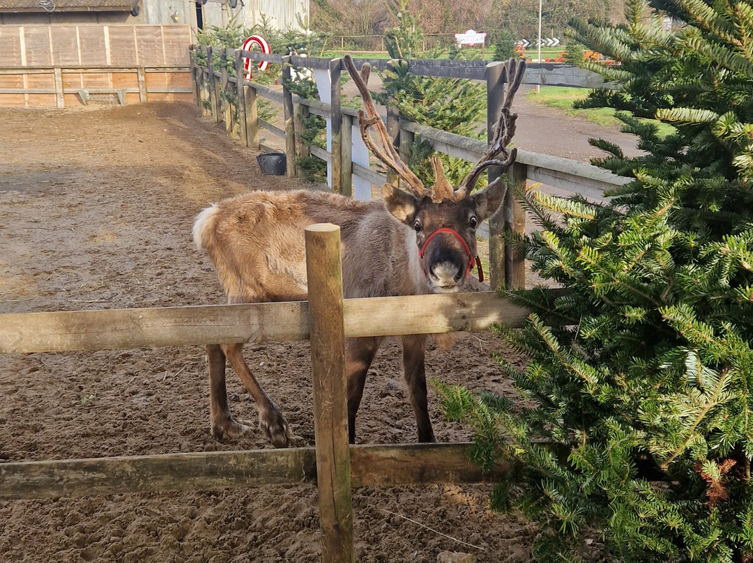 Avon Valley Adventure Park-Keynsham必去景点