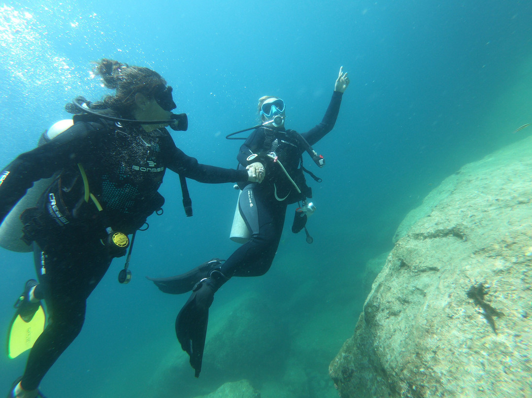 The Cortez Club-拉巴斯必去景点