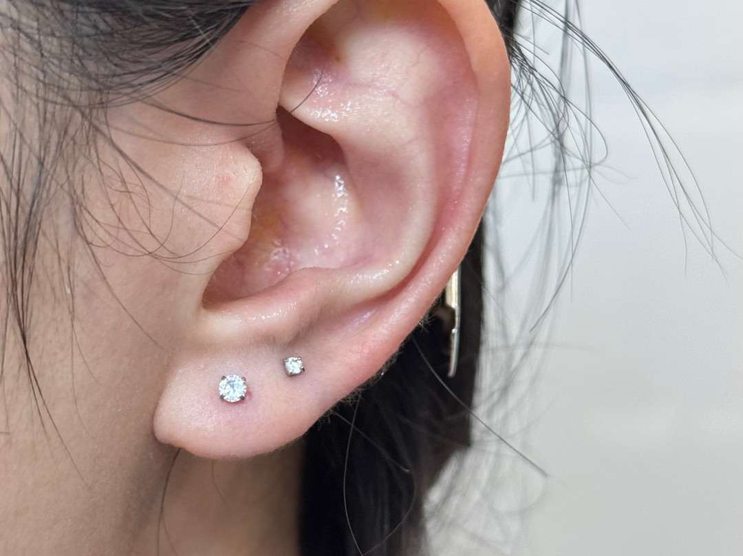 Piercing Remedy-河内必去景点