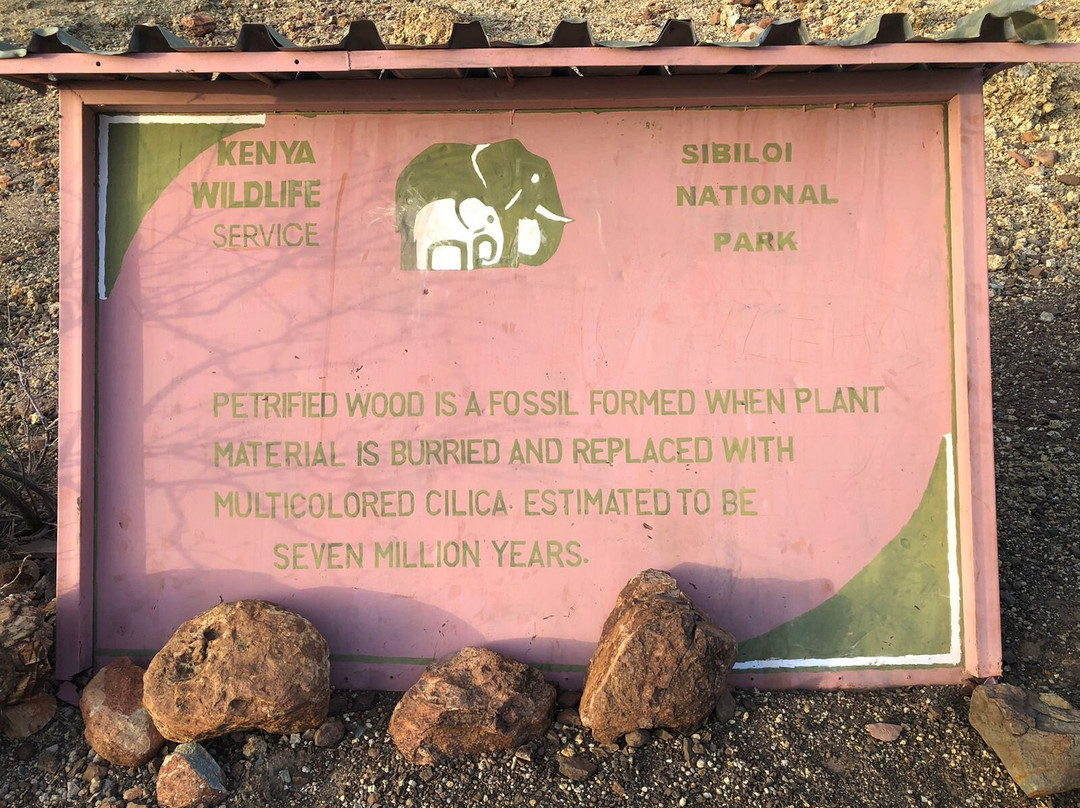 Severius Adventures And Travels