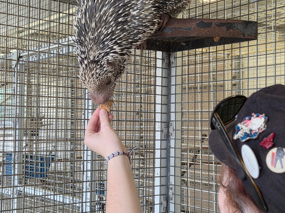 TGR Exotics Wildlife Park-斯普林必去景点