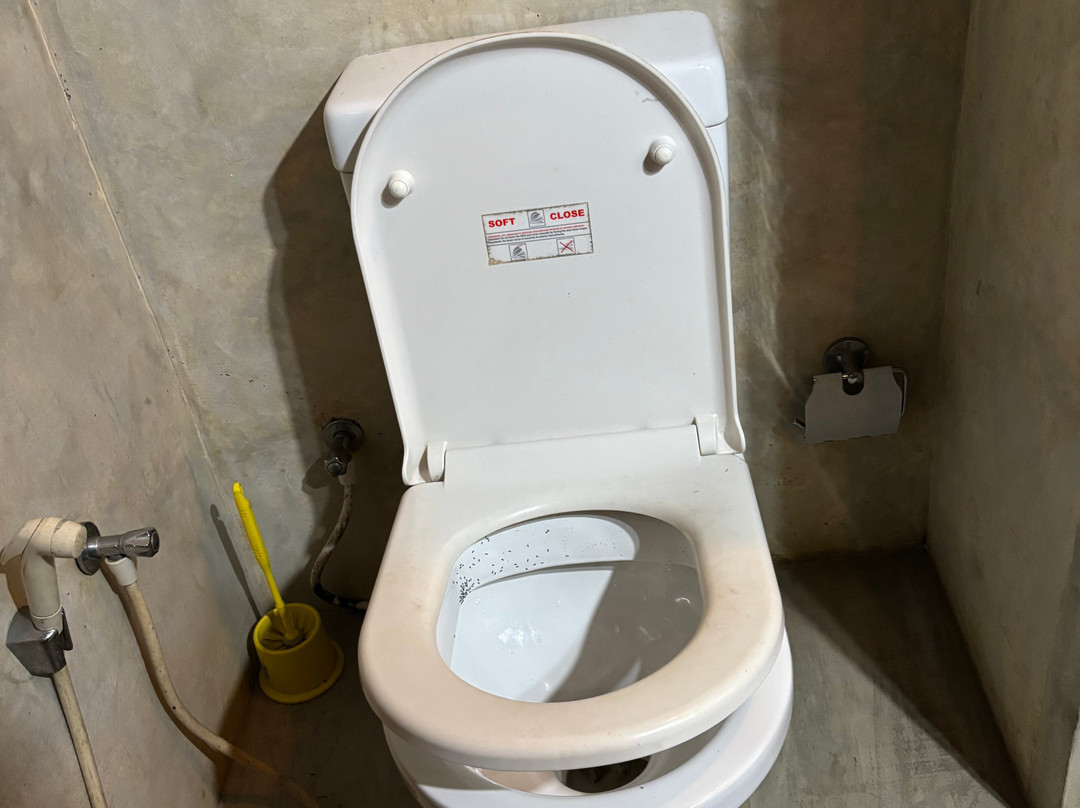 Bedda Eco Cottages主图