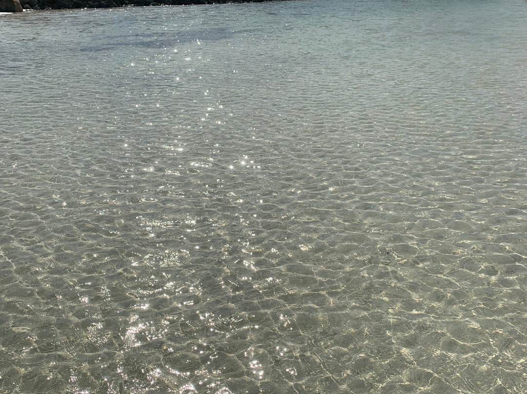 Punta Mosquito-Holbox Island必去景点