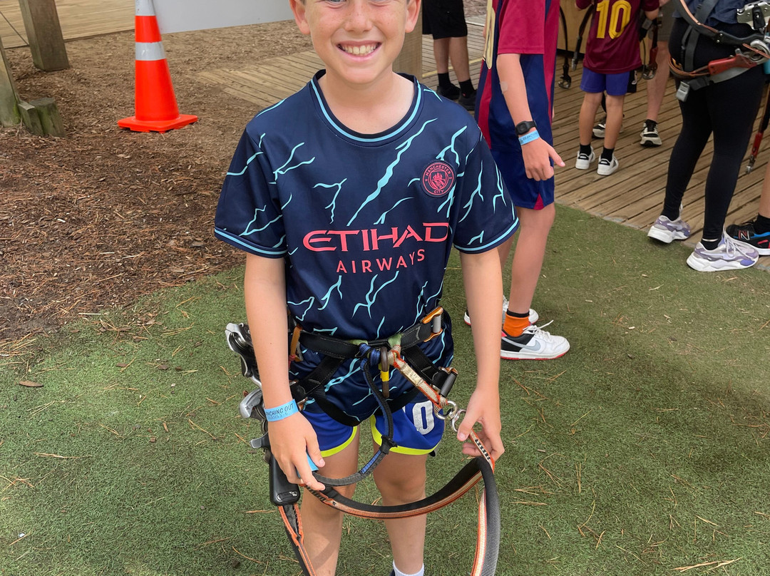 Tree Adventures-伍德山必去景点